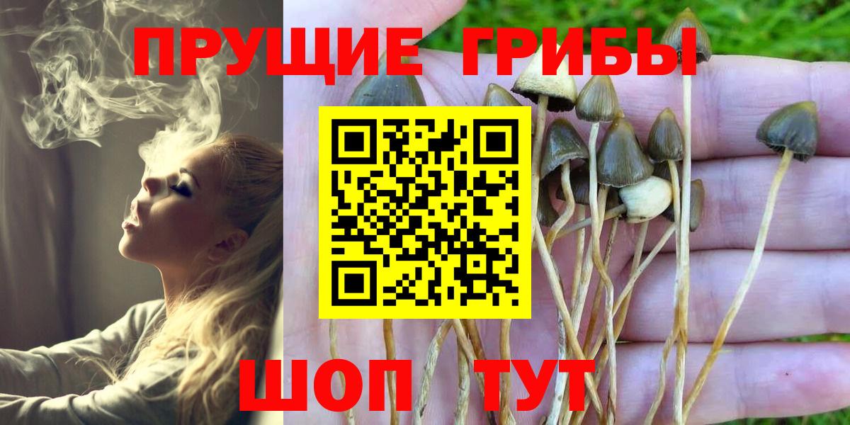 Псилоцибиновые грибы Magic Shrooms  Вход с VPN  Галлюциногенные грибы Cubensis  Мытищи 